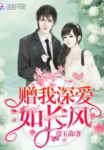 赠我深爱如长风